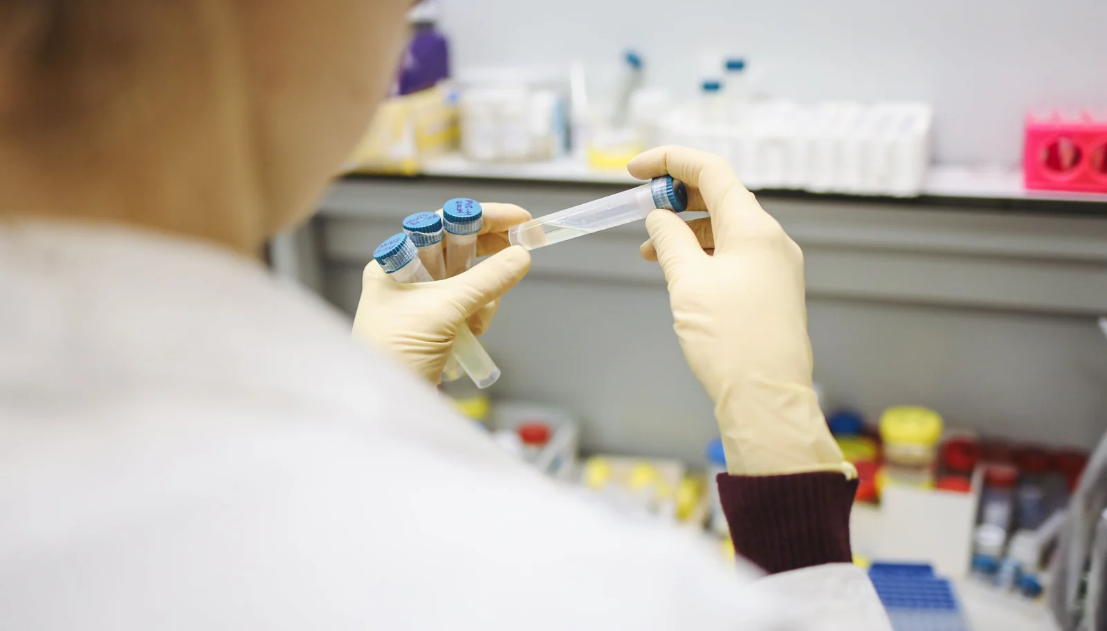 Gloved lab technician holding test tubes for heavy-metal testing